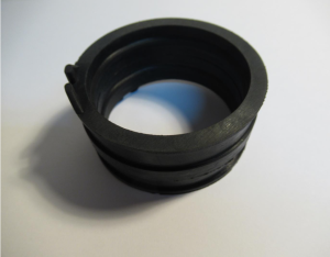 KRÓCIEC PRZEPUSTNICY.png