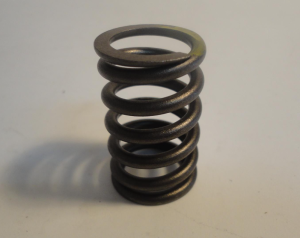 SPRĘŻYNA ZAWOROWA.png