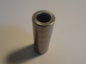 SWORZEŃ TŁOKOWY.png