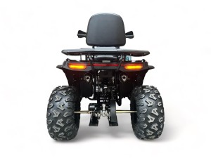 Zdjęcie WhatsApp 2025-01-09 o 12.27.03_5b40cbc2.jpg