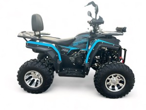 Zdjęcie WhatsApp 2025-01-09 o 12.27.03_acfb8631.jpg