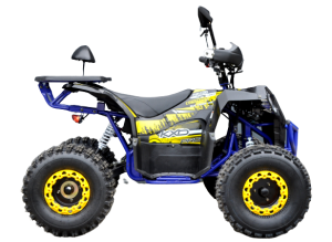 1-removebg-preview (2).png