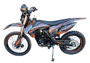 2-removebg-preview (2).png