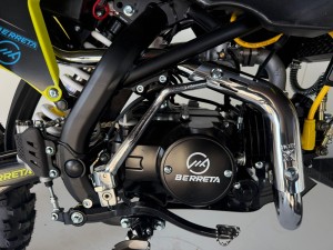 berreta_tr4_125cc_18.jpeg