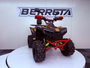 berreta_bulldog_125cc_7.jpeg