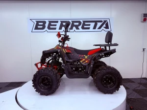 berreta_bulldog_125cc_12.jpeg